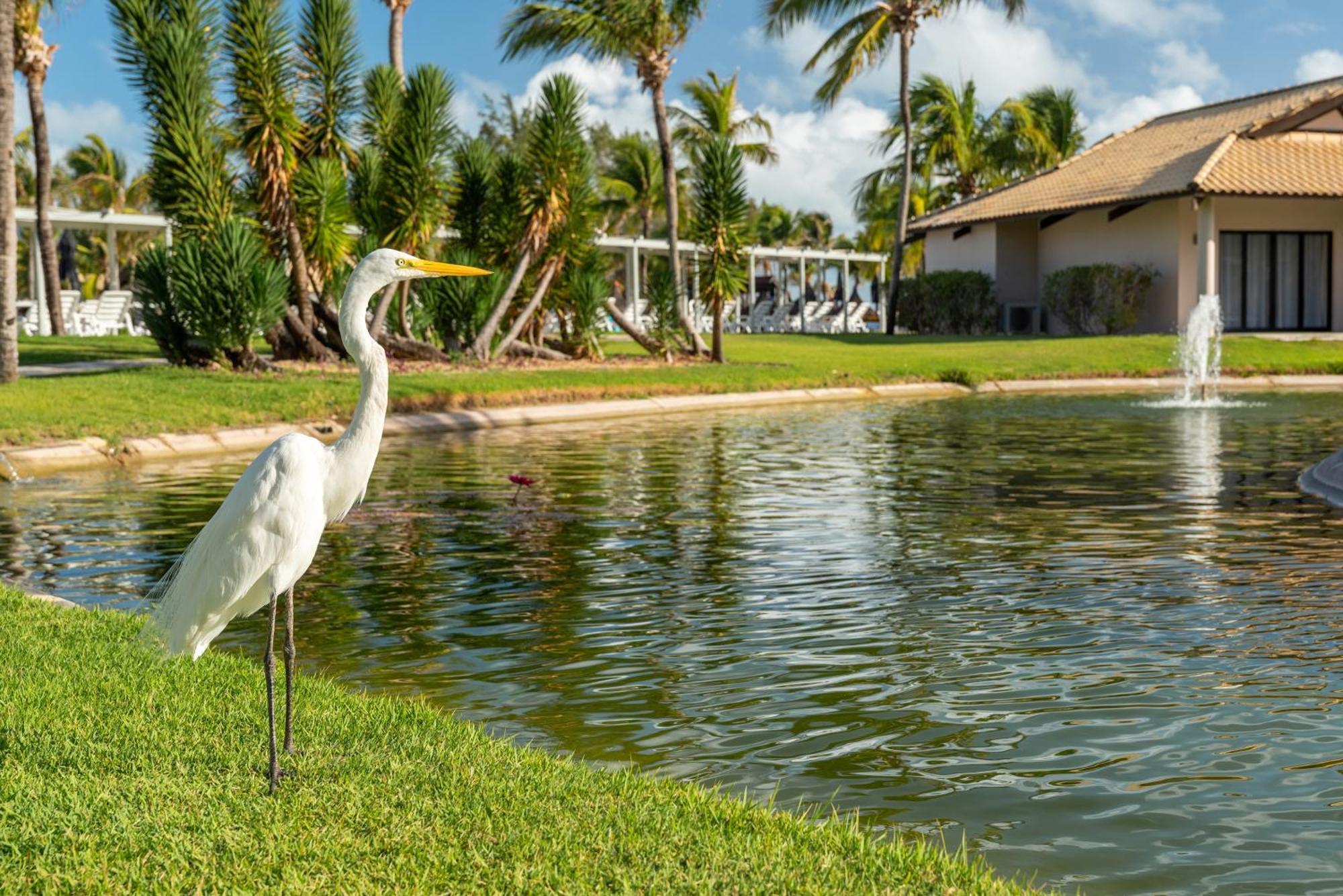 Vila Gale Resort Cumbuco 考卡亚 外观 照片